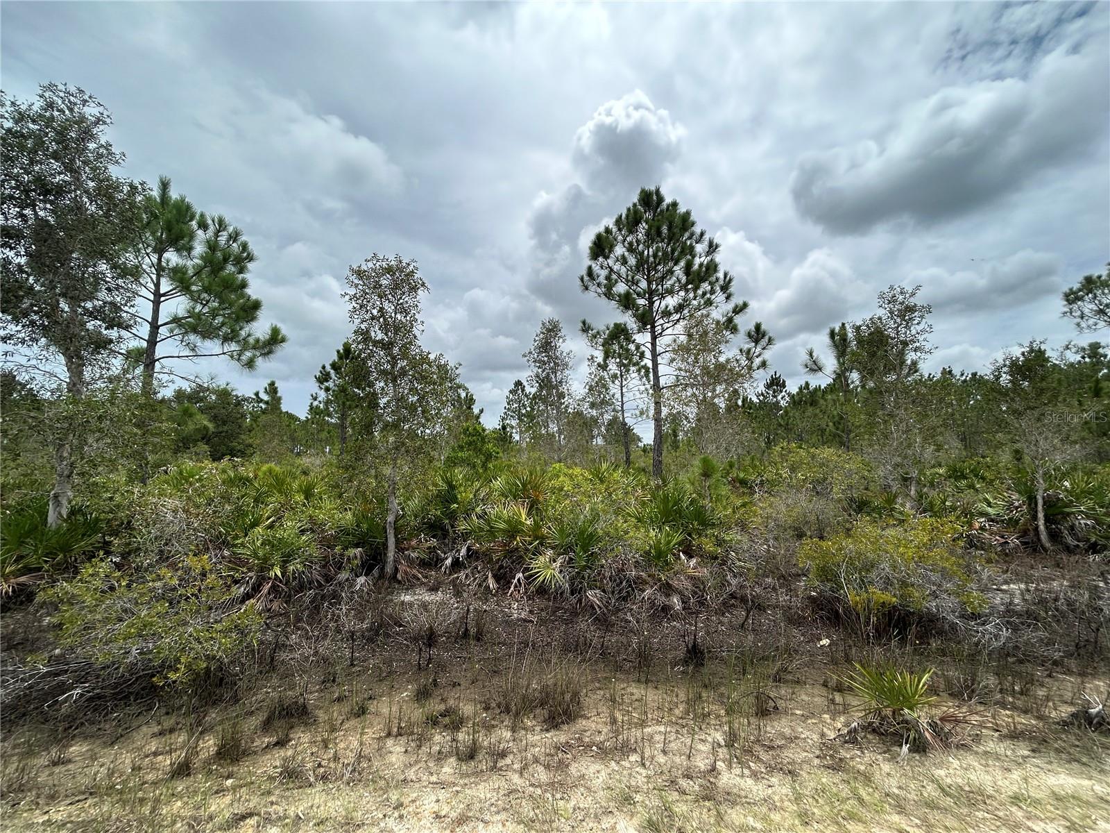 50648 BERMONT RD, PUNTA GORDA, FL, 33982