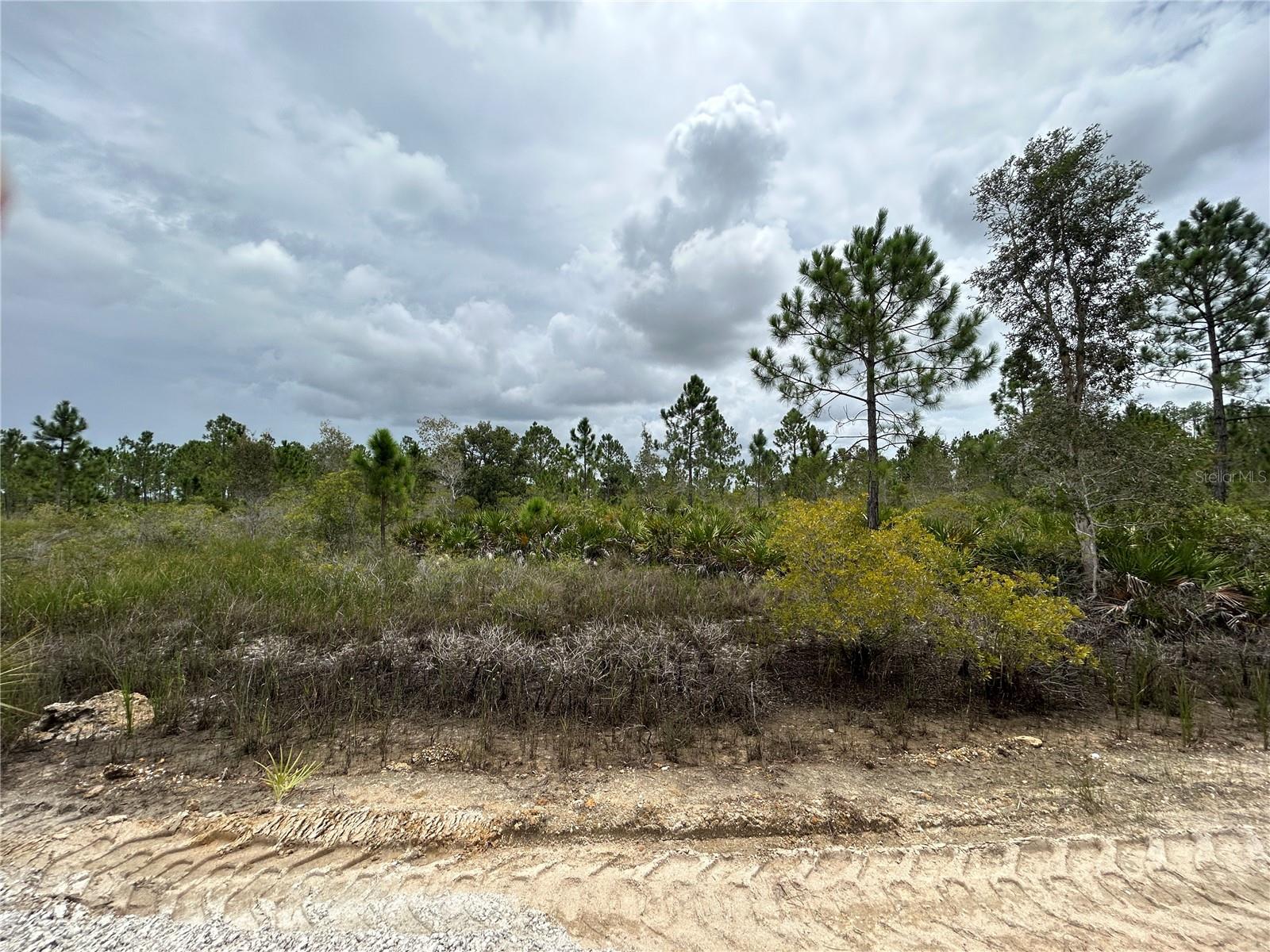 50648 BERMONT RD, PUNTA GORDA, FL, 33982