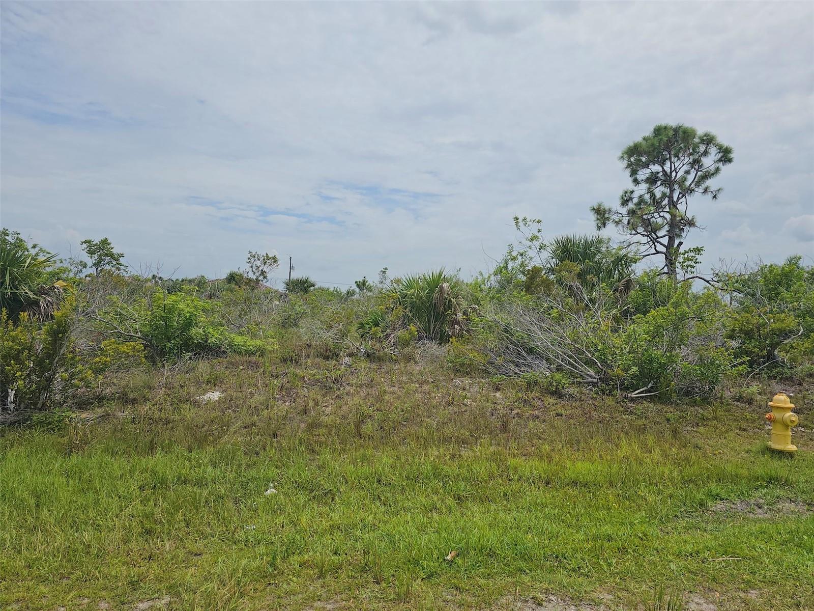15093 ACORN CIR, PORT CHARLOTTE, FL, 33981