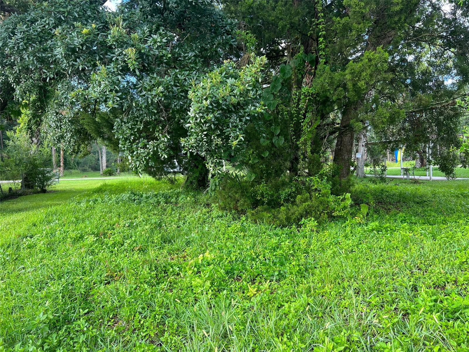 6049 COLONY CIR, WEEKI WACHEE, FL, 34607