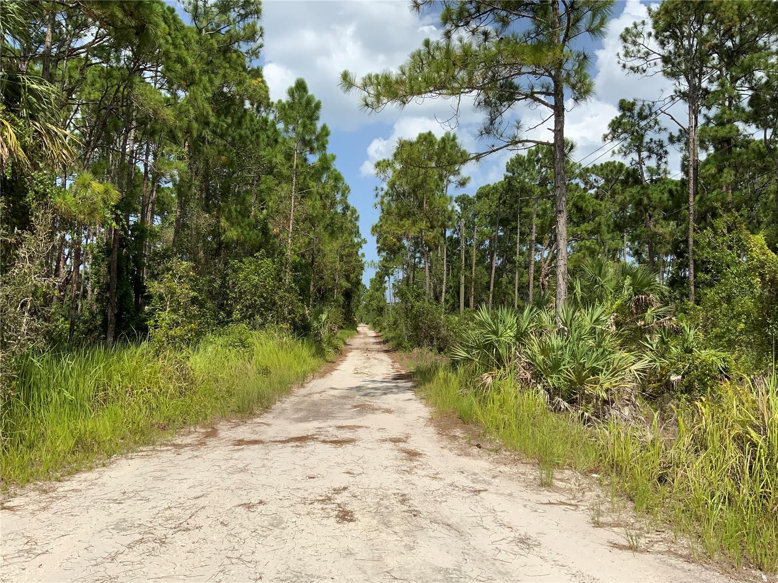 SNAIL KITE LN, FORT PIERCE, FL, 34951