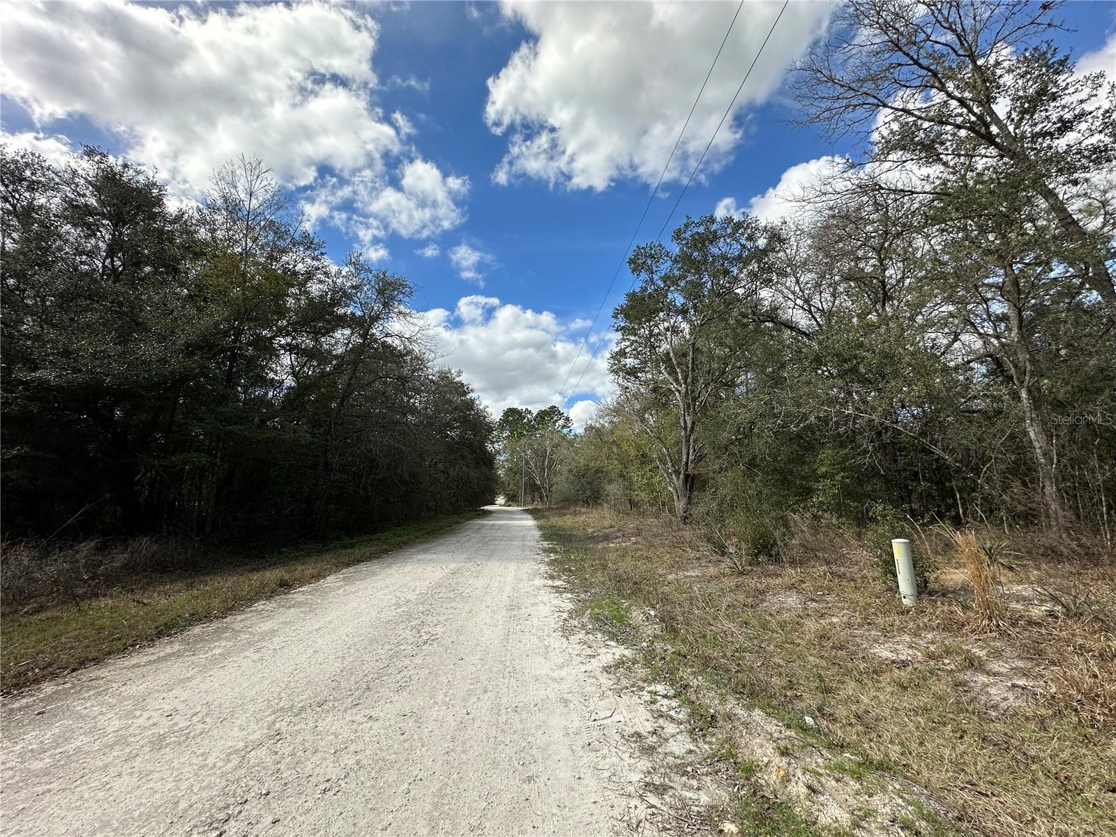 21491 SE 73RD PL, MORRISTON, FL, 32668