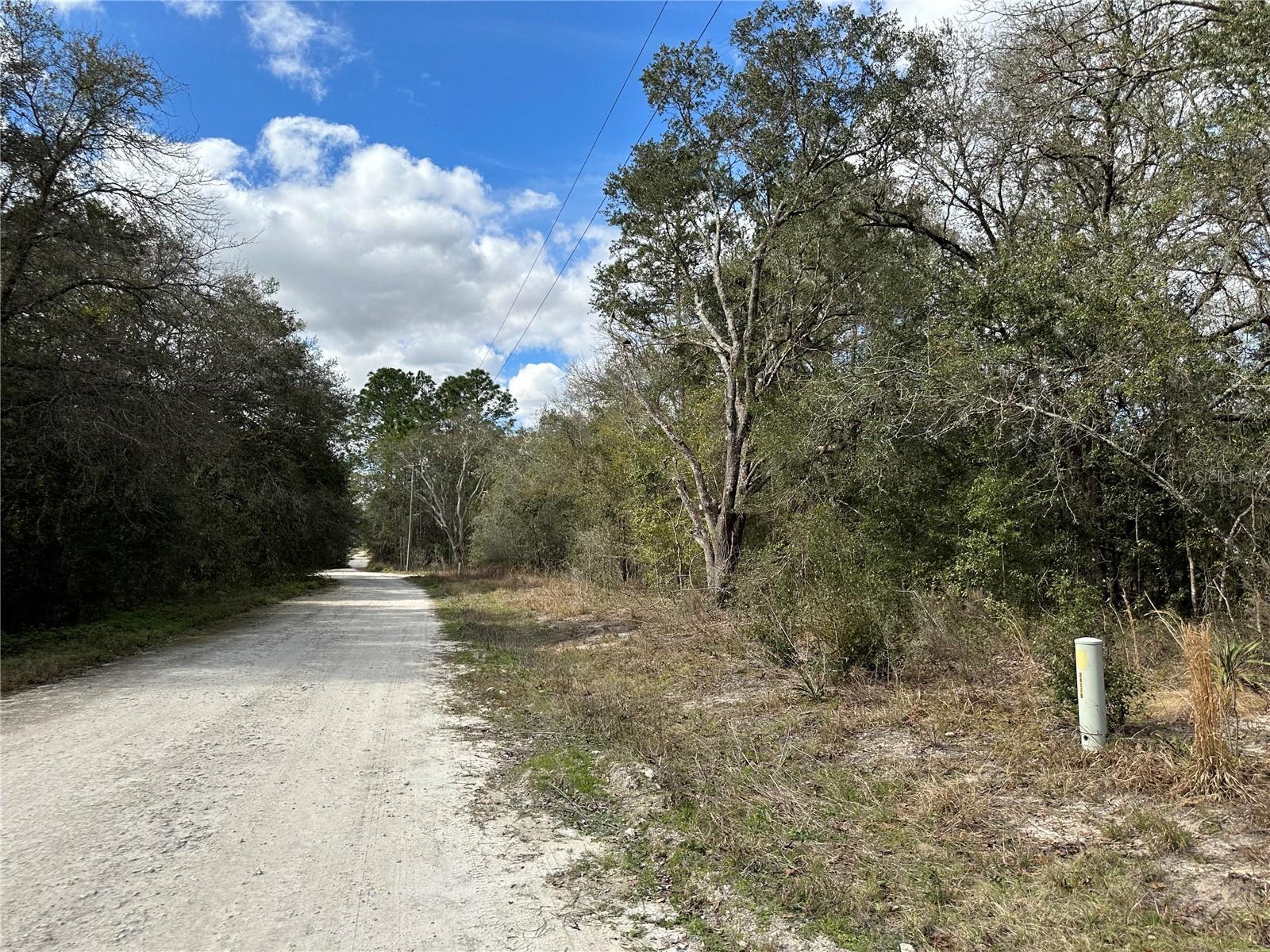 21491 SE 73RD PL, MORRISTON, FL, 32668