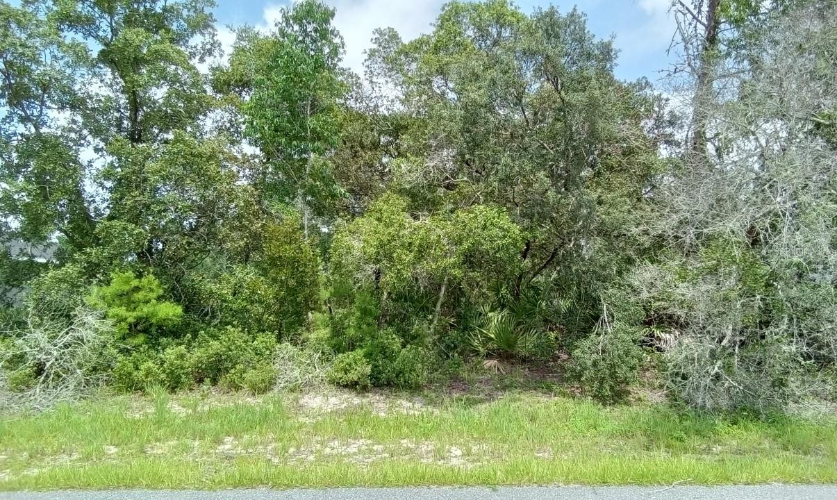 14421 SW 28TH AVE, OCALA, FL, 34473