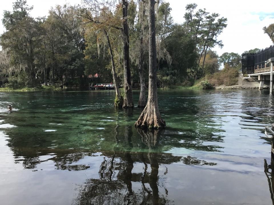 14421 SW 28TH AVE, OCALA, FL, 34473