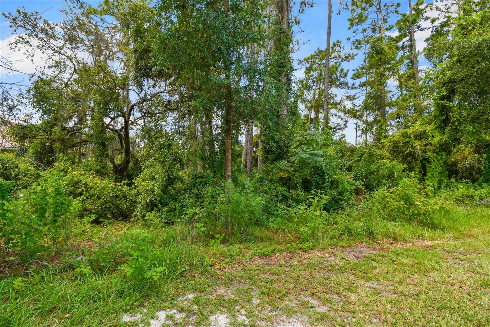 208 EAGLE ESTATES DR, DEBARY, FL, 32713
