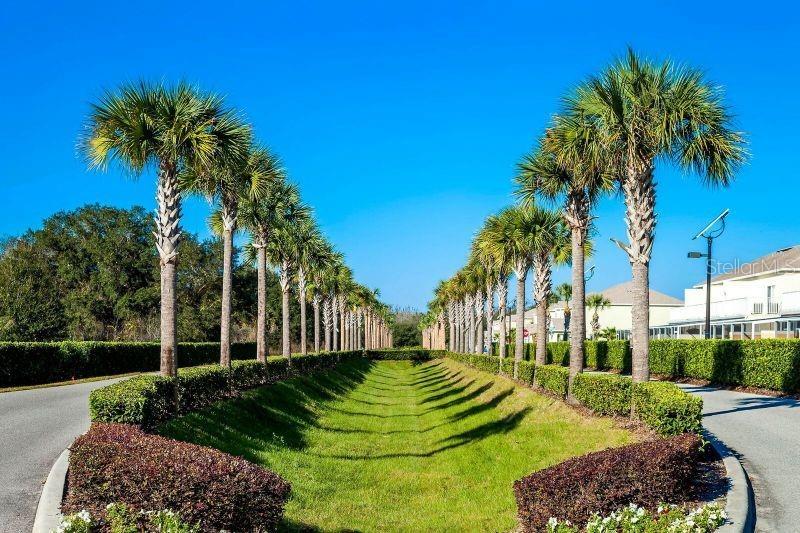 17428 HIDDEN FOREST DR, CLERMONT, FL, 34714
