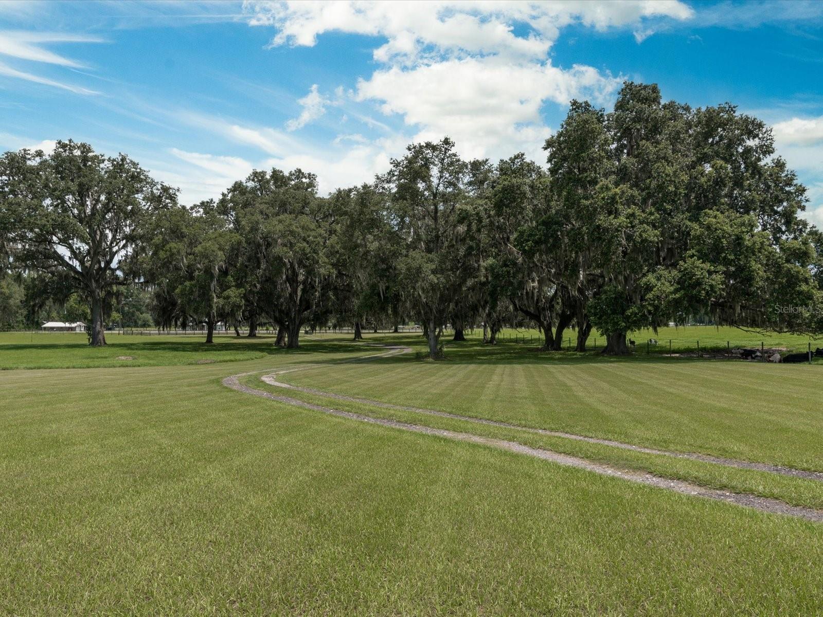 7125 COUNTY ROAD 214, MELROSE, FL, 32666