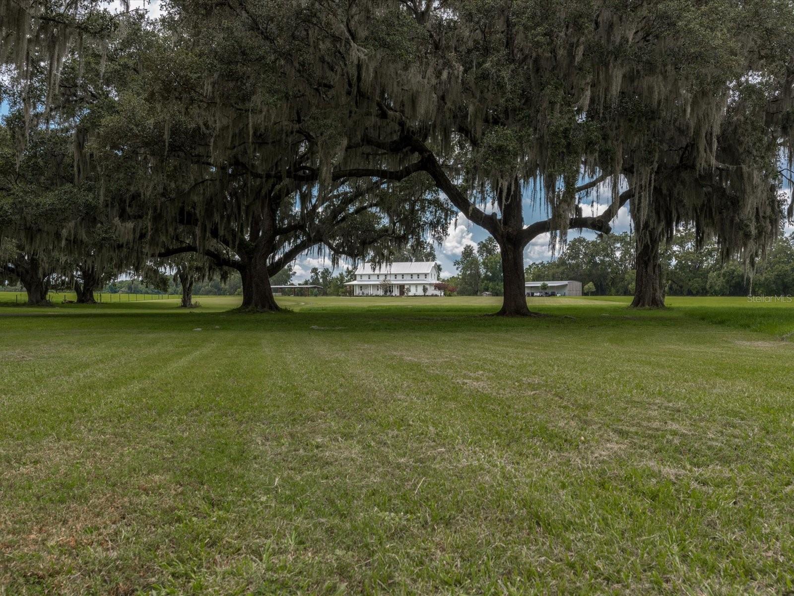 7125 COUNTY ROAD 214, MELROSE, FL, 32666