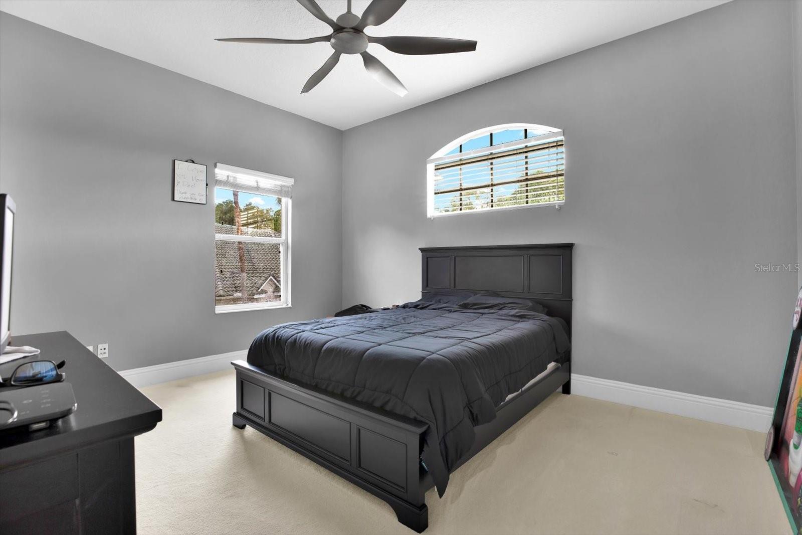 5016 GIVENDALE LN, TAMPA, FL, 33647