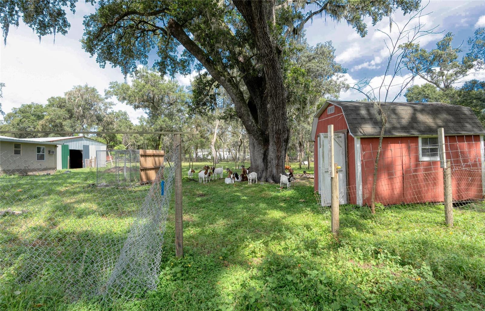 2643 N VALRICO RD, SEFFNER, FL, 33584