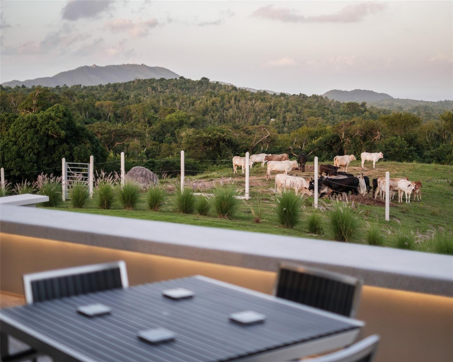 PR9101529 Property Photo