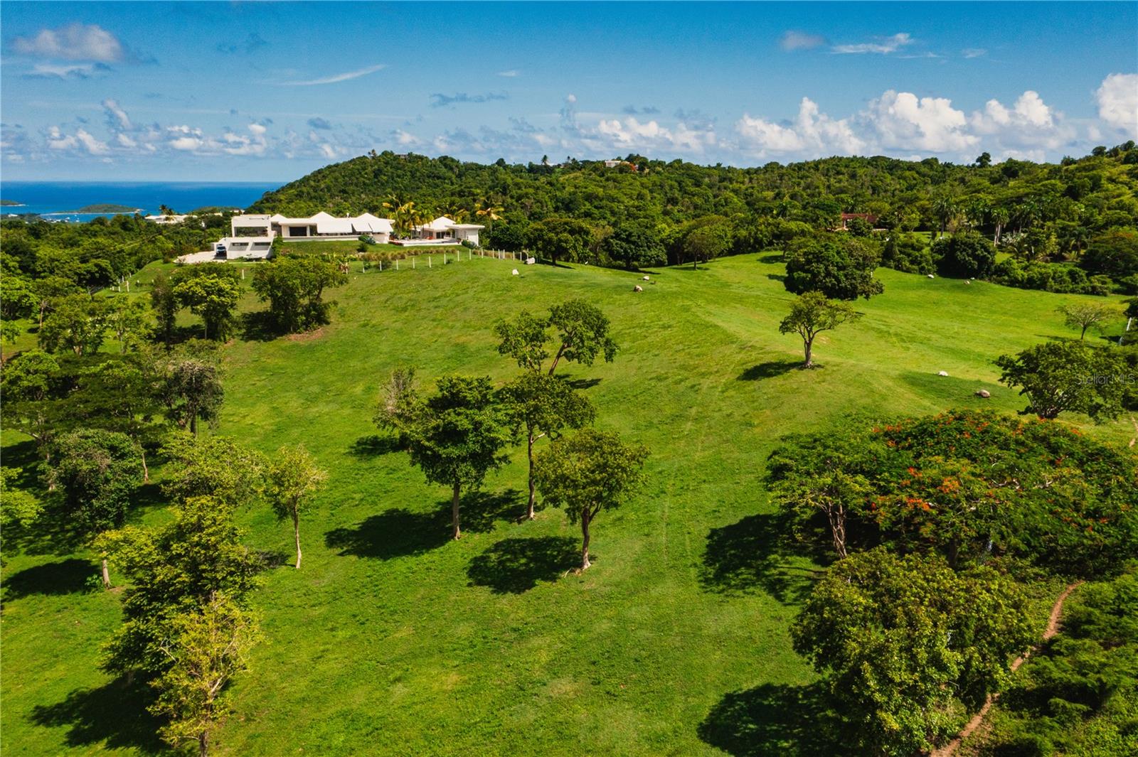 PR9101529 Property Photo