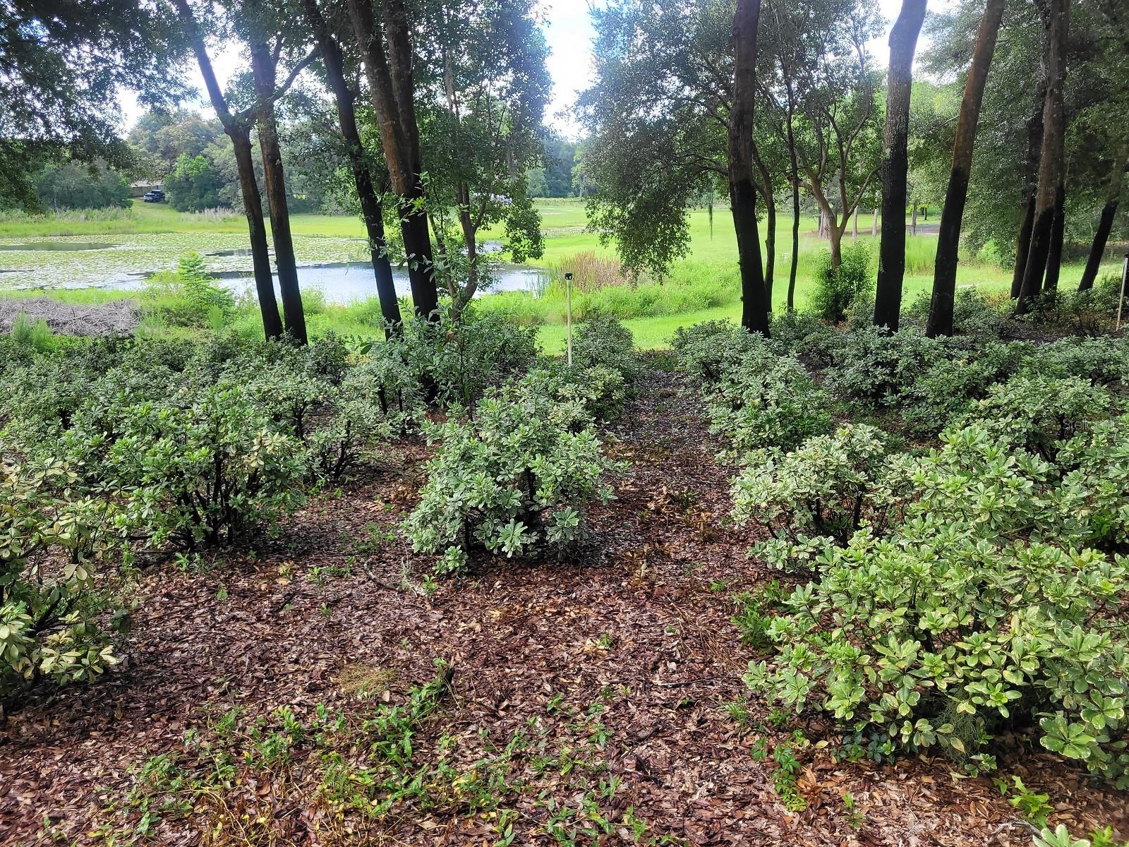 MINSHEW RD, PIERSON, FL, 32180