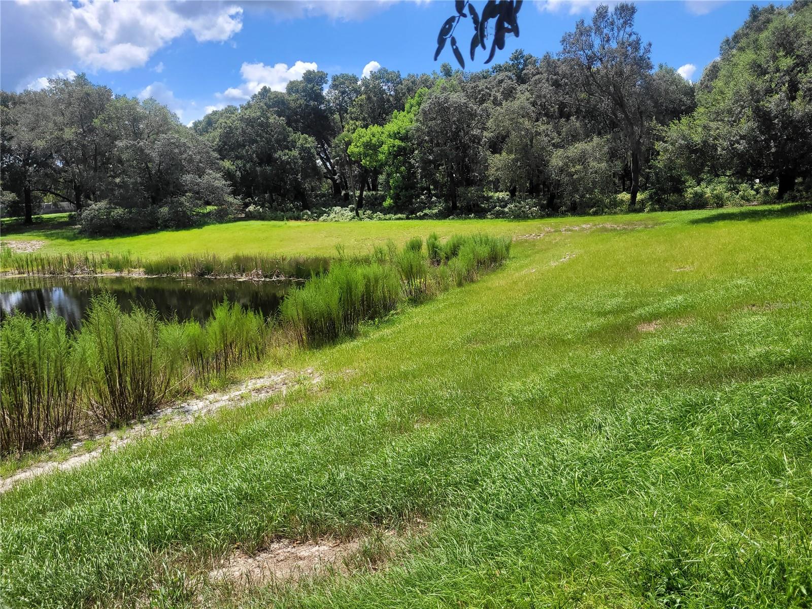 MINSHEW RD, PIERSON, FL, 32180