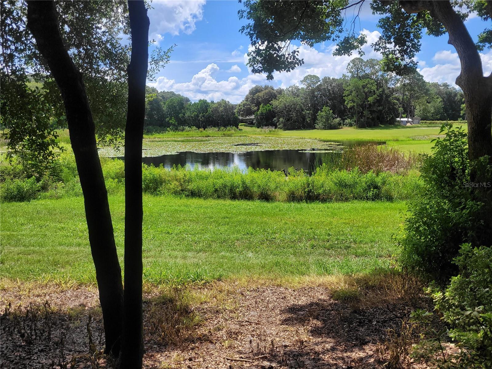 MINSHEW RD, PIERSON, FL, 32180