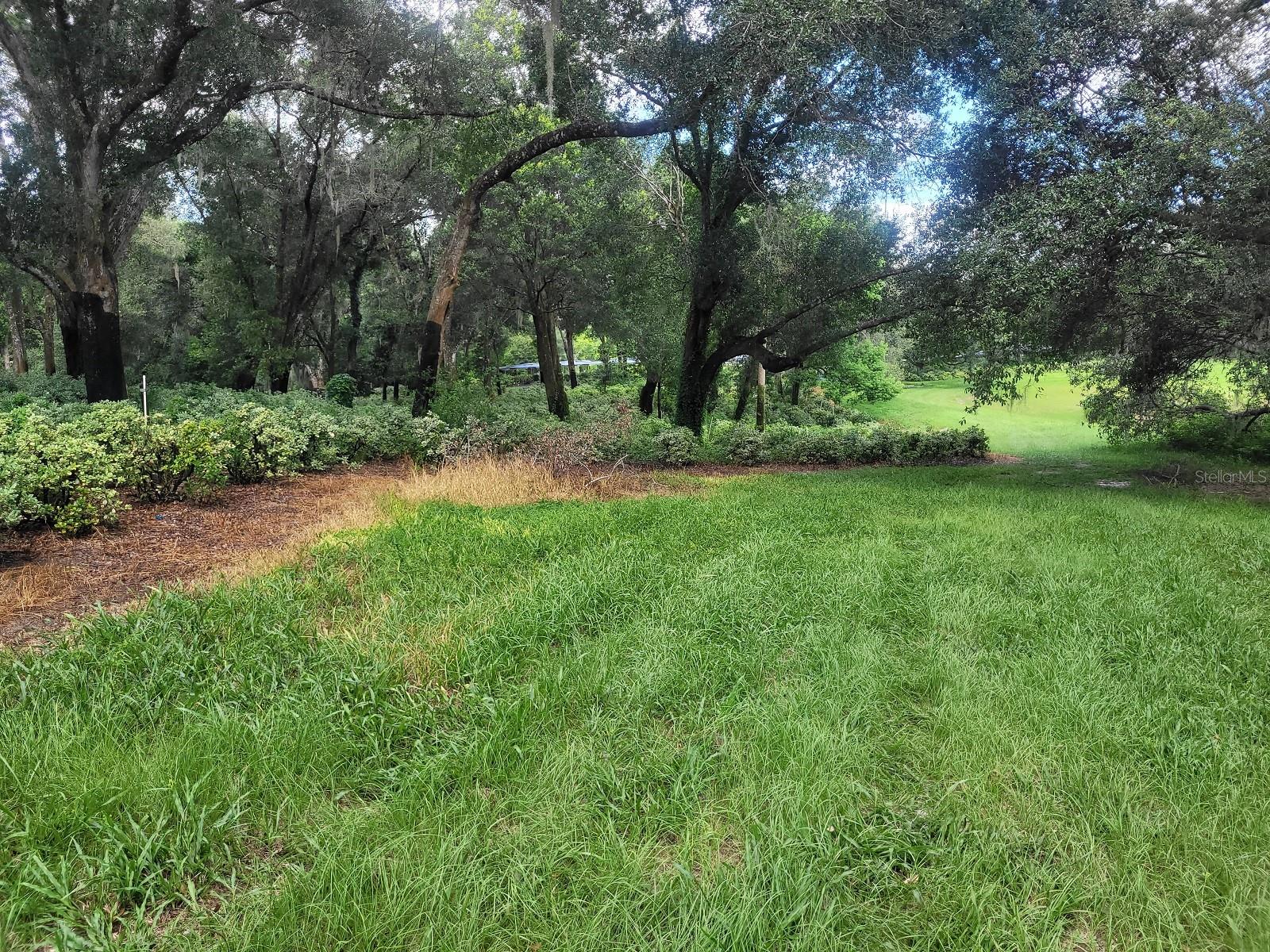 MINSHEW RD, PIERSON, FL, 32180