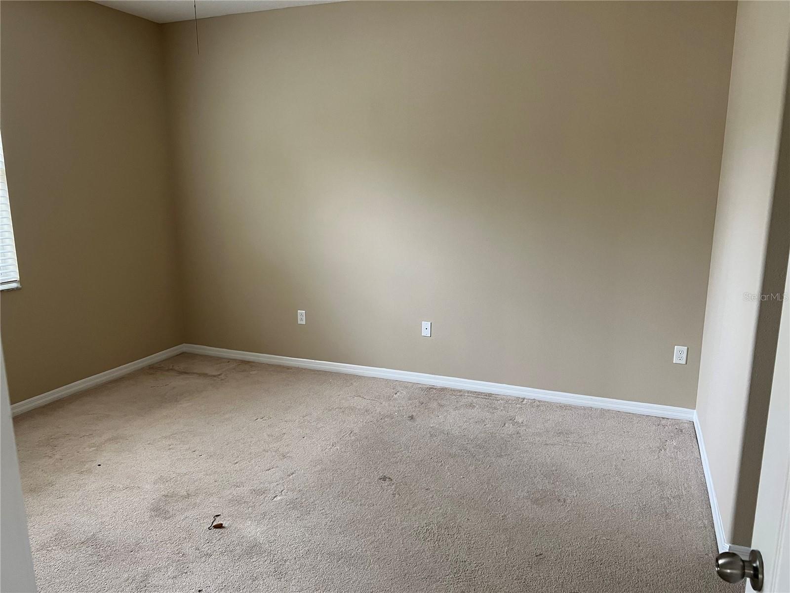 8115 ALAMOSA WOOD AVE, RUSKIN, FL, 33573