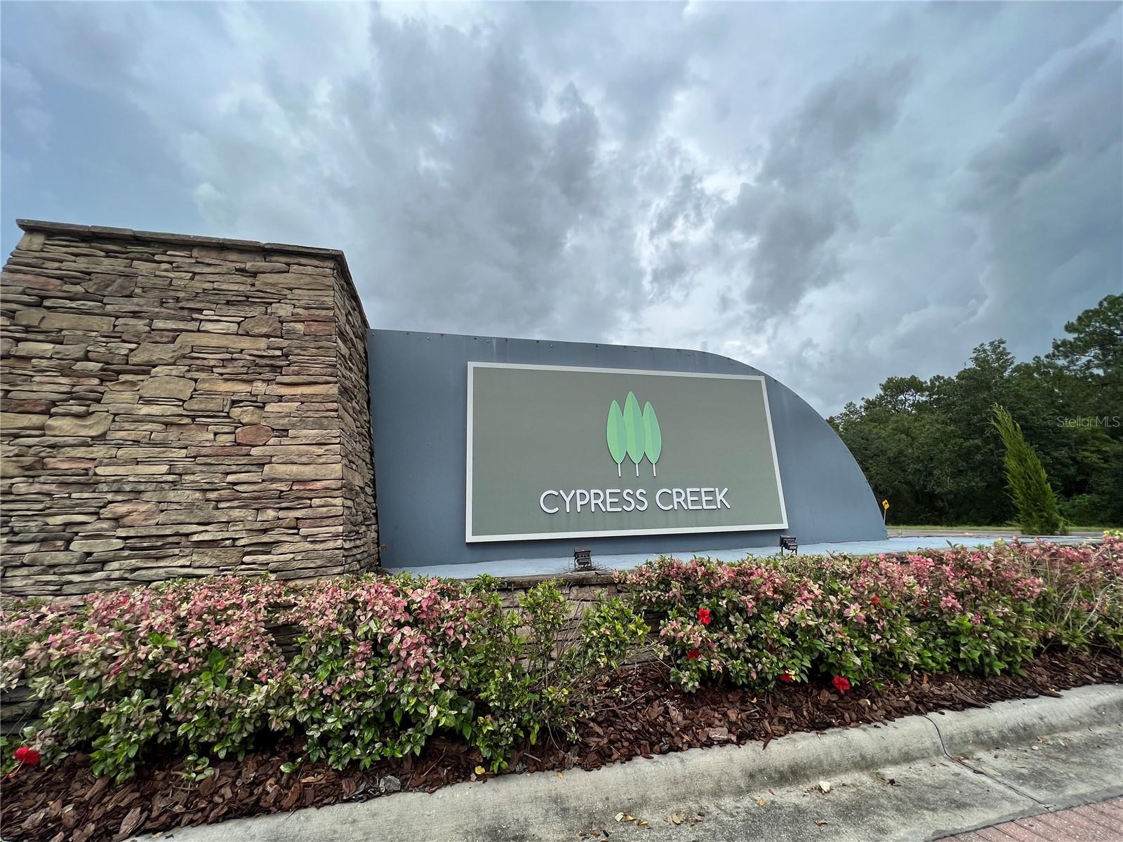 8115 ALAMOSA WOOD AVE, RUSKIN, FL, 33573