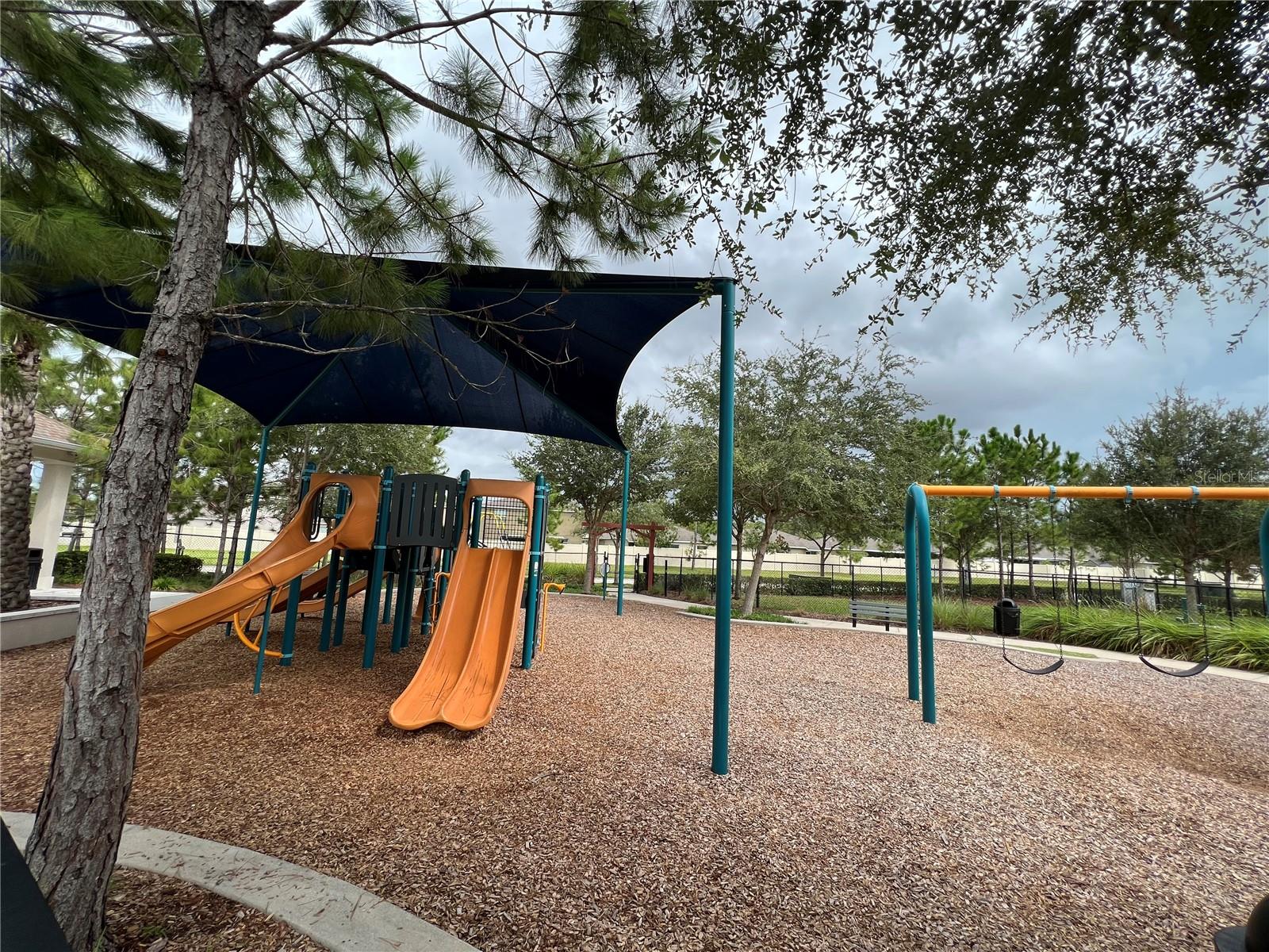 8115 ALAMOSA WOOD AVE, RUSKIN, FL, 33573