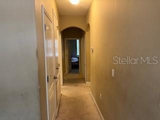 8115 ALAMOSA WOOD AVE, RUSKIN, FL, 33573