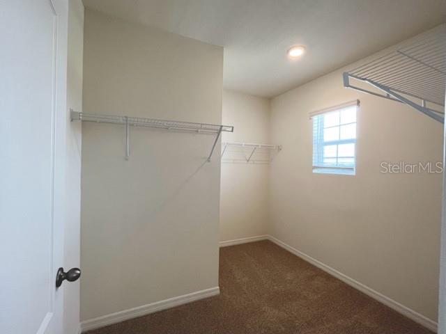 1556 CATBRIAR WAY, DAVENPORT, FL, 33837