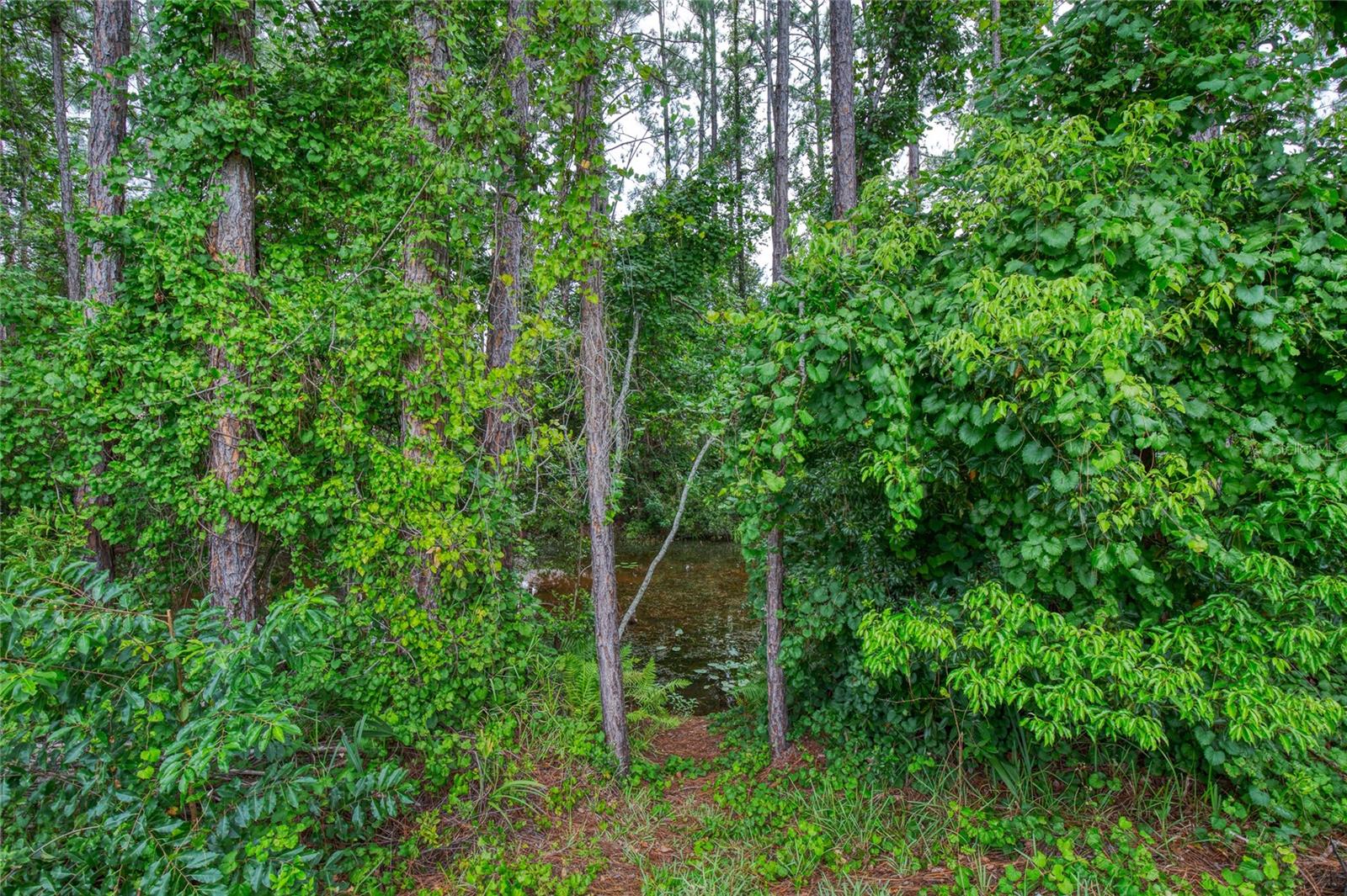 9 REYNOLDS PL, PALM COAST, FL, 32164