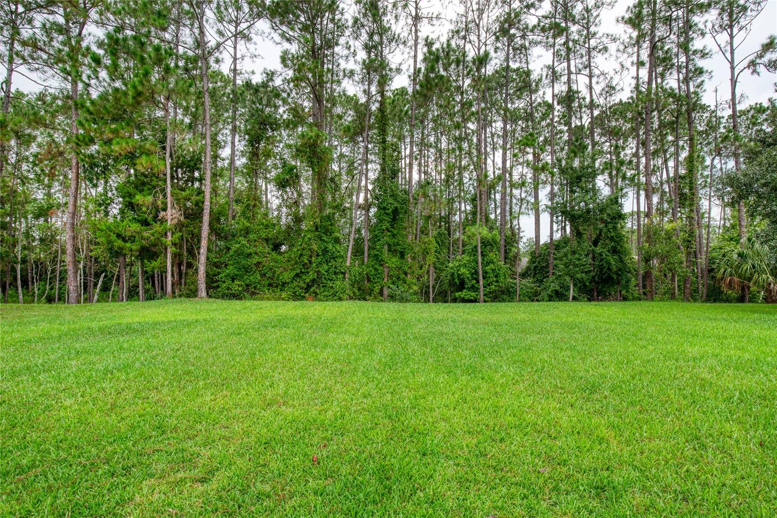 9 REYNOLDS PL, PALM COAST, FL, 32164