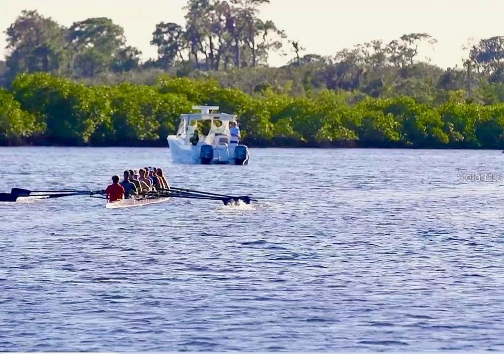 1711 RIO VISTA TER, PARRISH, FL, 34219