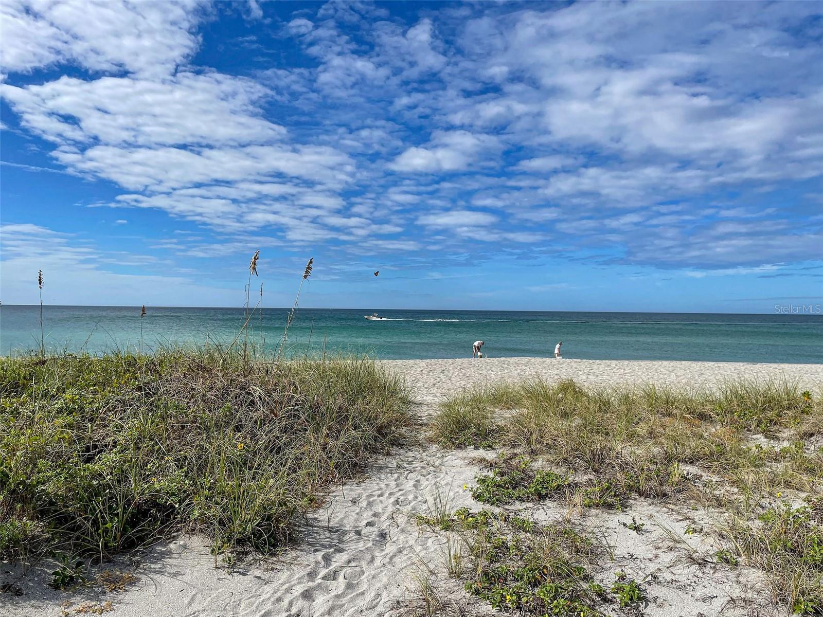 1255 TARPON CENTER DR. #505, VENICE, FL, 34285