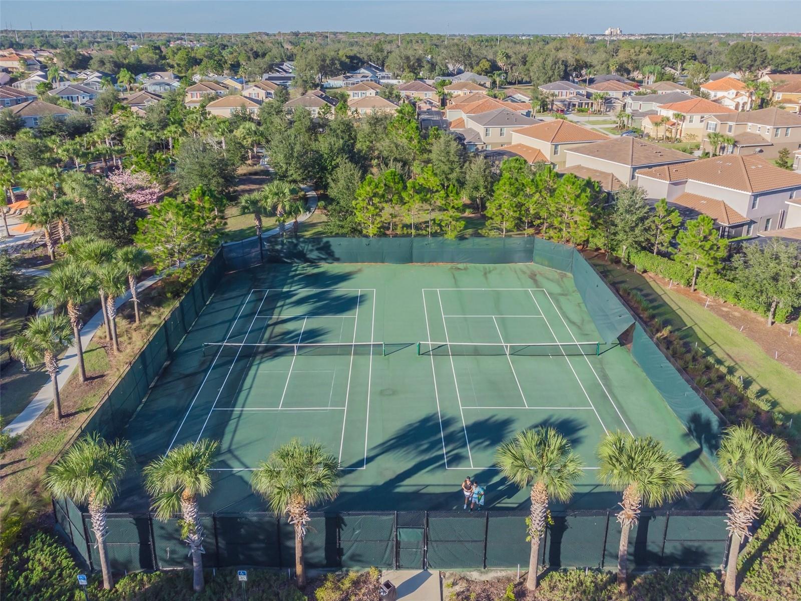 4722 TERRASONESTA DR, DAVENPORT, FL, 33837