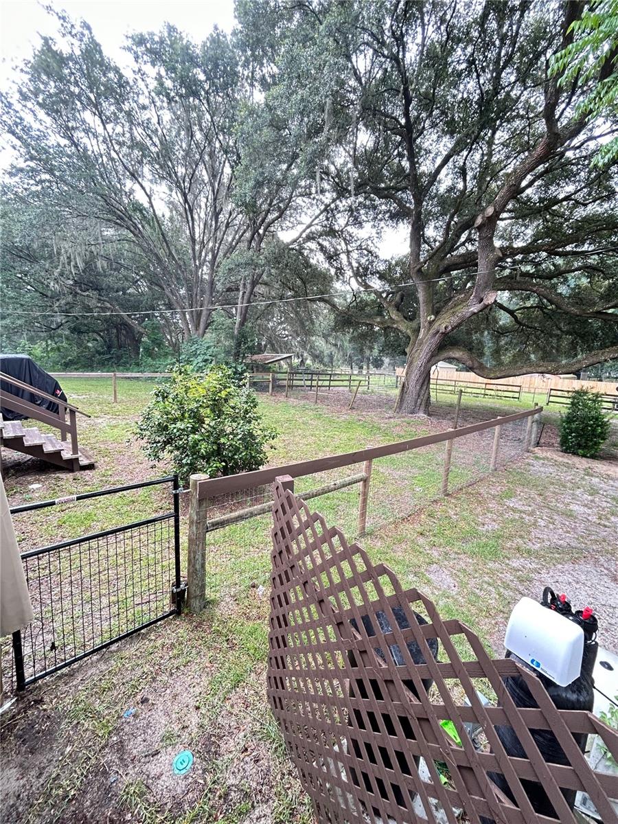13881 NE JACKSONVILLE RD, CITRA, FL, 32113