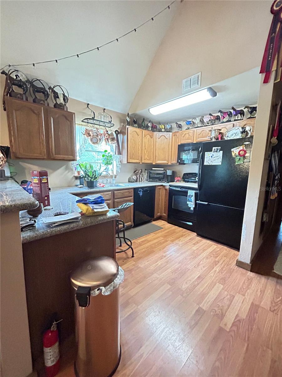 13881 NE JACKSONVILLE RD, CITRA, FL, 32113