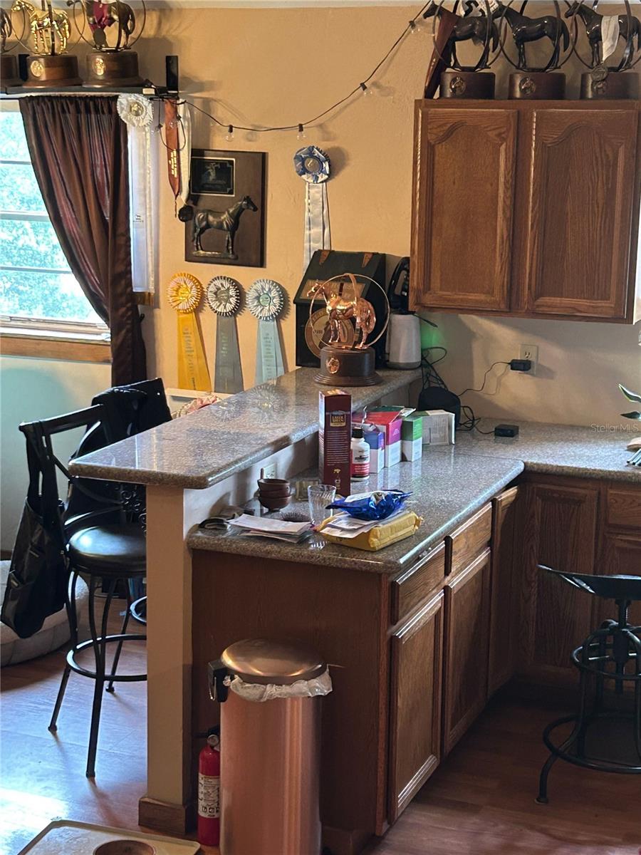 13881 NE JACKSONVILLE RD, CITRA, FL, 32113