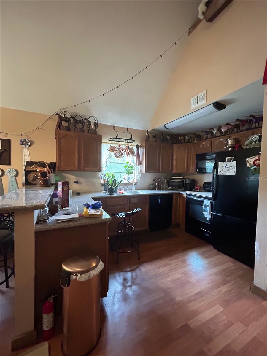13881 NE JACKSONVILLE RD, CITRA, FL, 32113