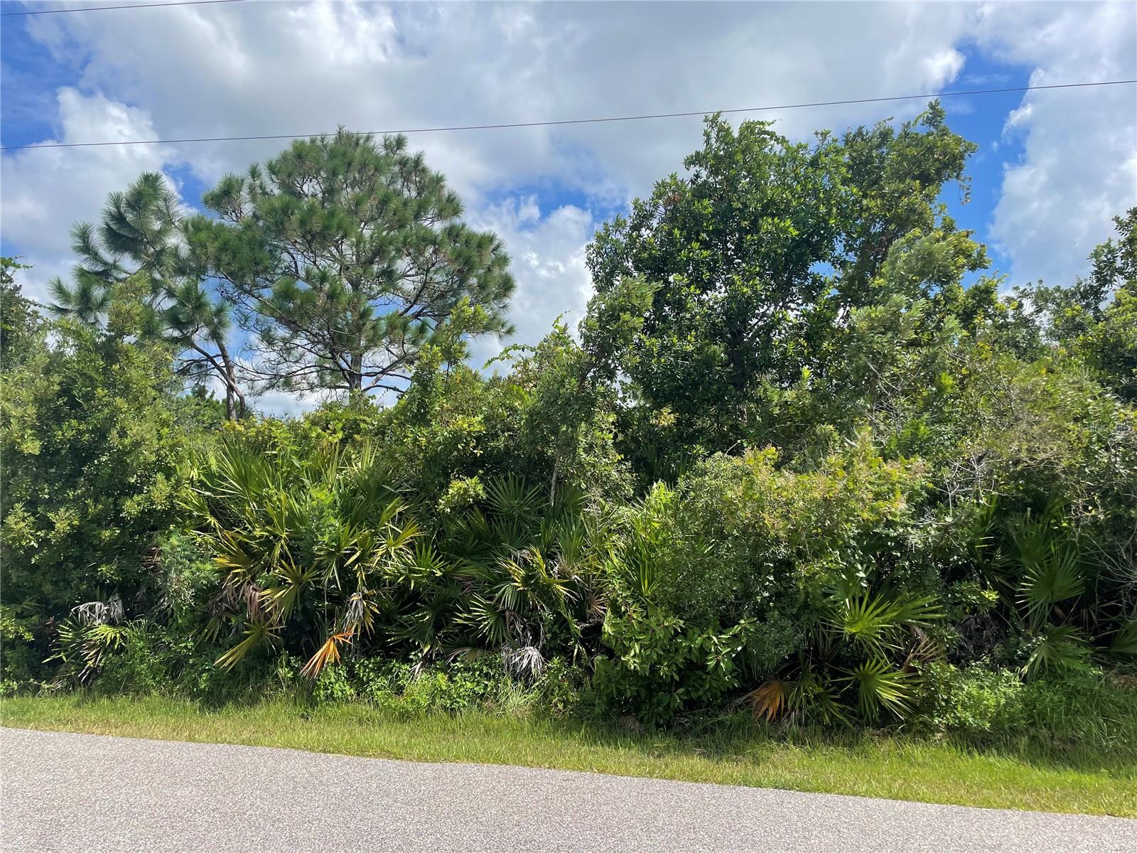 10 BUTTONBUSH LN, PALM COAST, FL, 32137