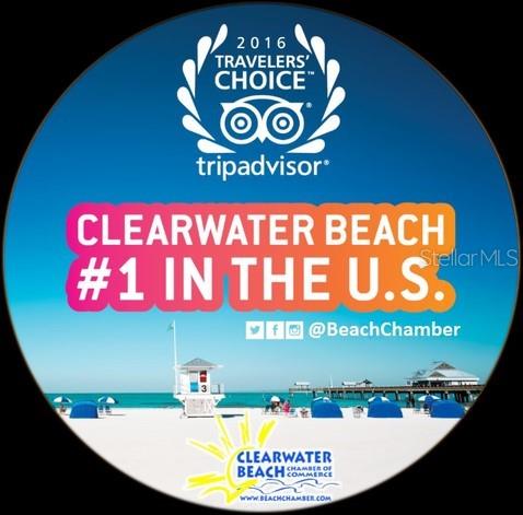 880 MANDALAY AVE #S103, CLEARWATER, FL, 33767