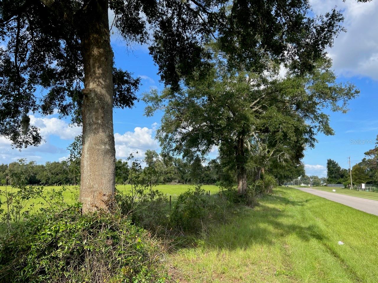 NW 160 ST, TRENTON, FL, 32693