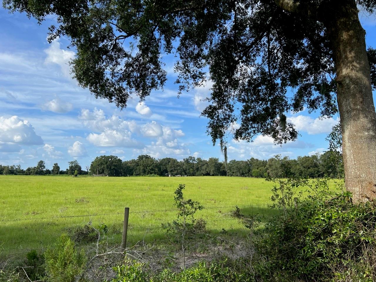 NW 160 ST, TRENTON, FL, 32693