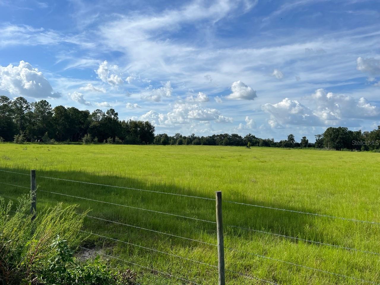 NW 160 ST, TRENTON, FL, 32693