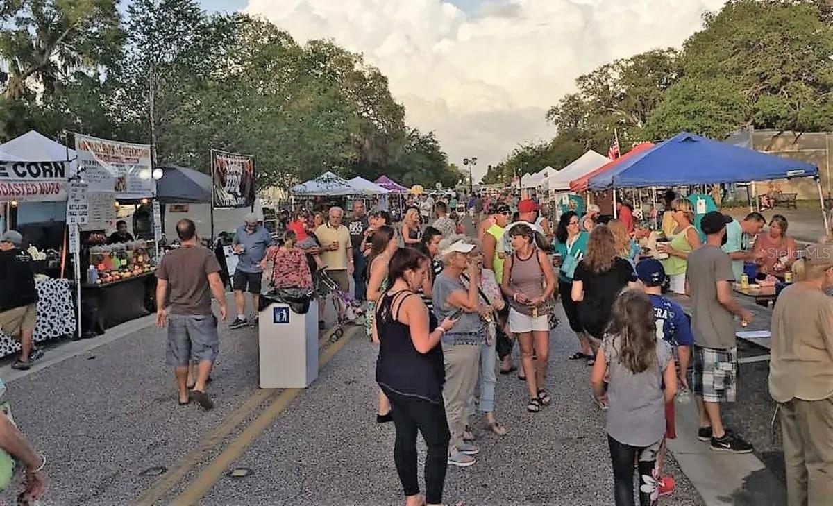 134 CARLYLE DR, PALM HARBOR, FL, 34683