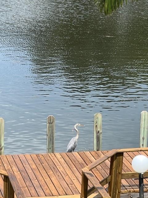 134 CARLYLE DR, PALM HARBOR, FL, 34683