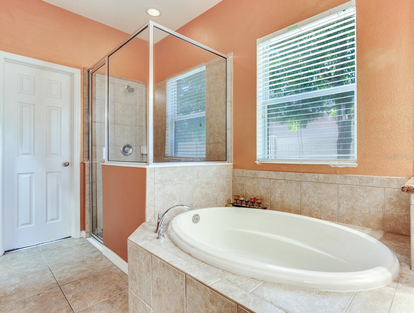 11136 WEMBLEY LANDING DR, LITHIA, FL, 33547