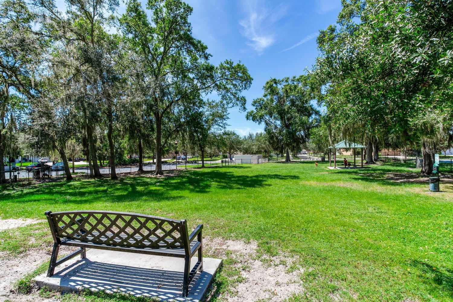 11136 WEMBLEY LANDING DR, LITHIA, FL, 33547