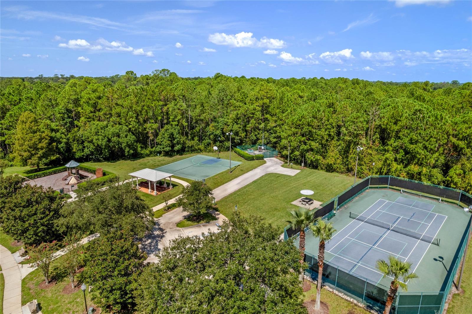 3010 ISOLA BELLA BLVD, MOUNT DORA, FL, 32757