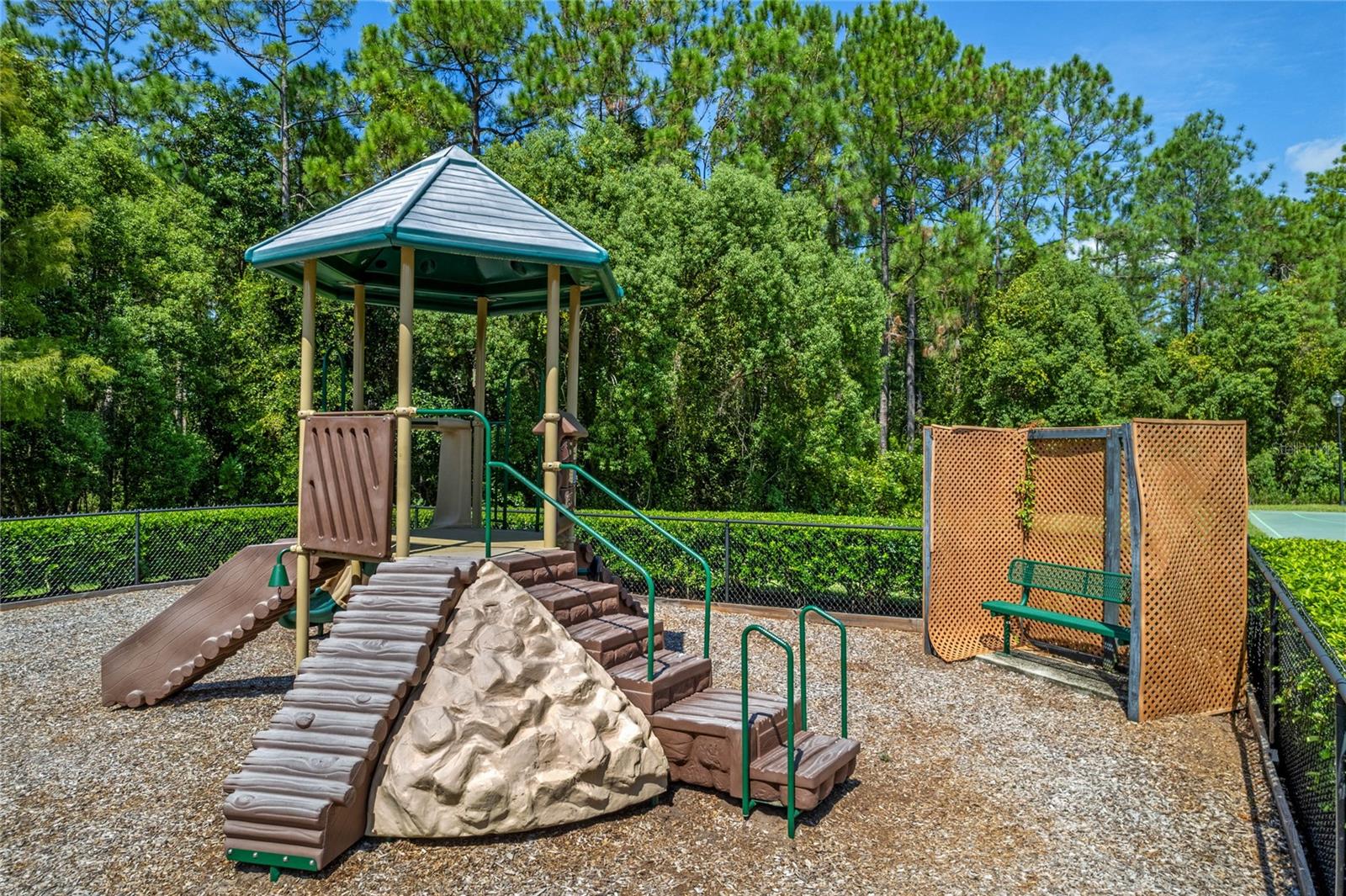 3010 ISOLA BELLA BLVD, MOUNT DORA, FL, 32757