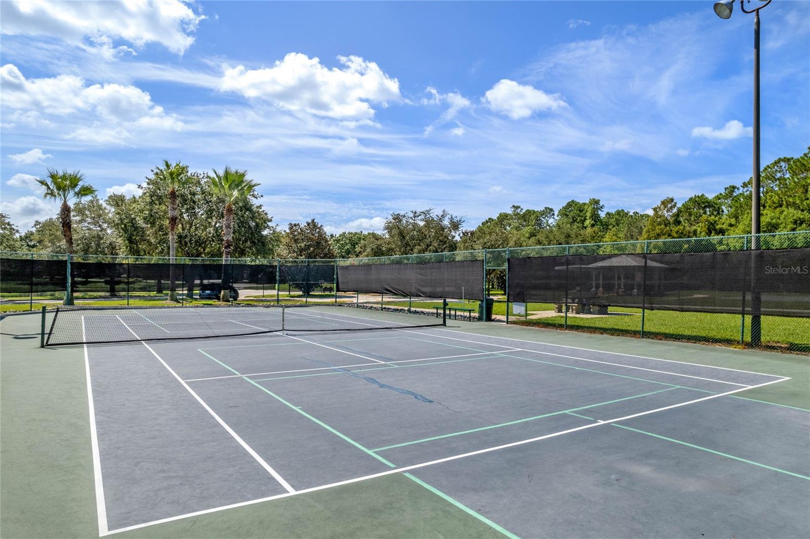 3010 ISOLA BELLA BLVD, MOUNT DORA, FL, 32757