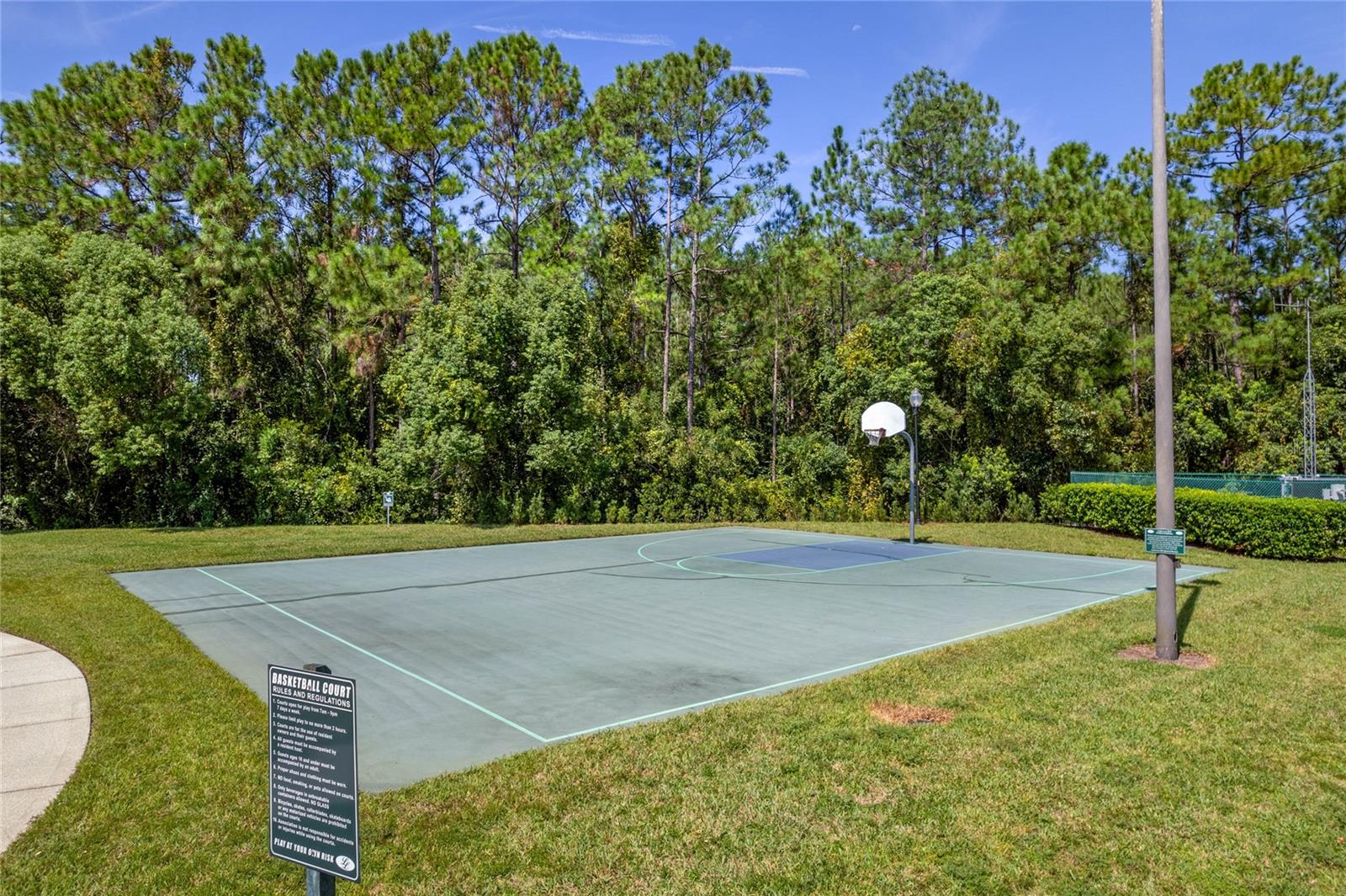 3010 ISOLA BELLA BLVD, MOUNT DORA, FL, 32757