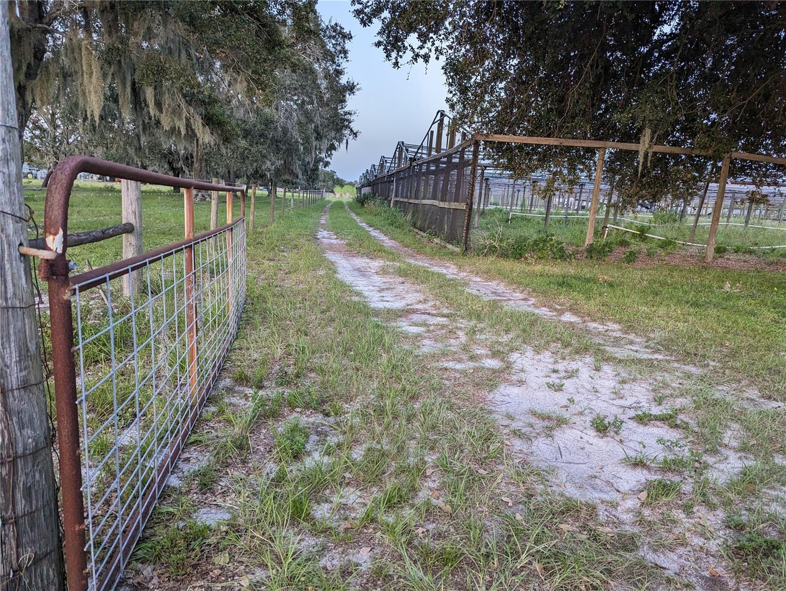 16070 CARLTON LAKE RD, WIMAUMA, FL, 33598