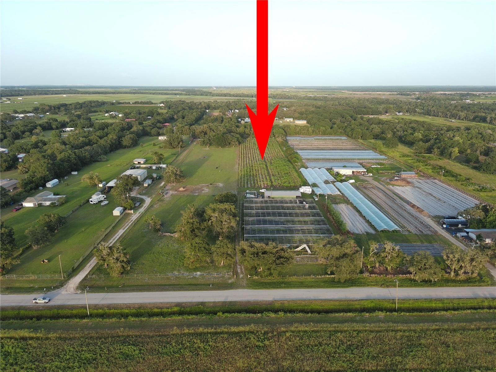 16070 CARLTON LAKE RD, WIMAUMA, FL, 33598